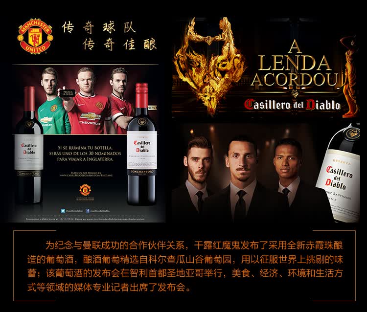 紅魔鬼葡萄酒批發(fā)全解析 智利紅酒經(jīng)銷價格參考與市場趨勢